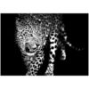 Obraz Glasspik Animals 70X100 GL106 Leopard Merkury Market www.69x.sk