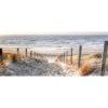 Obraz glasspik 50x125 gl234 dunes5 Merkury Market www.69x.sk