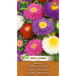 Astra vysoká - bukett zmes Merkury Market www.69x.sk