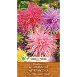 Astra vysoká - ihlicovita zmes Merkury Market www.69x.sk