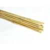 Bambusové kolíky 150 cm 12/14 mm  20 ks Merkury Market www.69x.sk