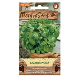 Bazalka pravá, zelená Merkury Market www.69x.sk