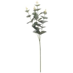 Eukaliptus 65cm Merkury Market www.69x.sk