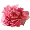 Hortensia 45cm tmavoružová A2010088 Merkury Market www.69x.sk