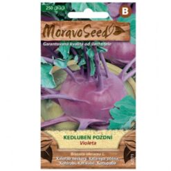 Kaleráb neskorý Violeta, modrý Merkury Market www.69x.sk