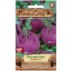 Kaleráb skorý Ametyst F1 modrý Merkury Market www.69x.sk