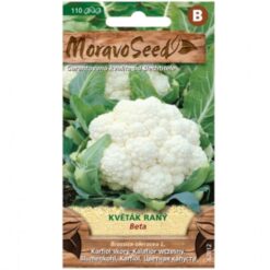 Karfiol skorý Beta Merkury Market www.69x.sk