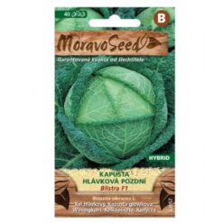 Kel hlávkový neskorý Blistra F1 - hybrid Merkury Market www.69x.sk