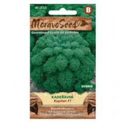 Kel kučeravý Kapitan F1 - hybrid, zelený Merkury Market www.69x.sk