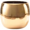 Kvetináč YS44179 Electroplating Effect D16xh15 Gold Merkury Market www.69x.sk