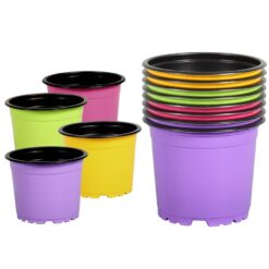 Kvetináč sadbový COLOR/BLACK d11cm; 8ks Merkury Market www.69x.sk