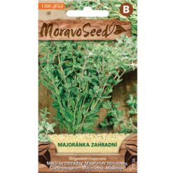 Majorán záhradný Merkury Market www.69x.sk