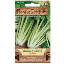 Mangold listový Lucullus, zelený Merkury Market www.69x.sk