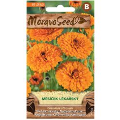 Nechtík lekársky Merkury Market www.69x.sk