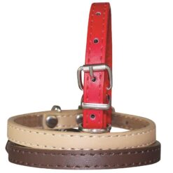 Obojok 1,2x35 cm Benny TATRAPET www.69x.sk