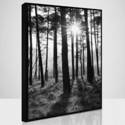 Obraz SB50x70.087L18.37.001 Merkury Market www.69x.sk