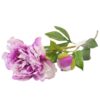 Paeonia 59cm ľaliová A2010572 Merkury Market www.69x.sk