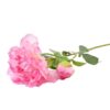 Paeonia 59cm ružová A2010570 Merkury Market www.69x.sk