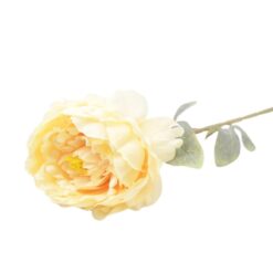 Paeonia 74cm krémová A2010681 Merkury Market www.69x.sk