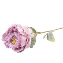 Paeonia 74cm ľaliová A2010682 Merkury Market www.69x.sk