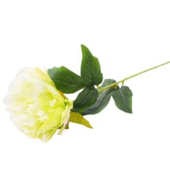 Peonia 52cm biela A2010436 Merkury Market www.69x.sk