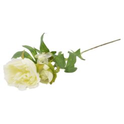 Peonia 59cm krémová A2010571 Merkury Market www.69x.sk