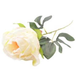 Pivonka 55 cm biela Merkury Market www.69x.sk