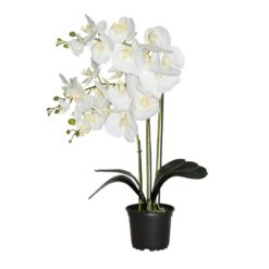 Prémiová umelá orchidea s 3 výhonkami Merkury Market www.69x.sk