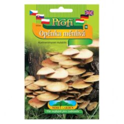 Sadba Šupinačka menlivá Merkury Market www.69x.sk