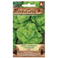 Šalát hlávkový na rýchlenie Safír Merkury Market www.69x.sk