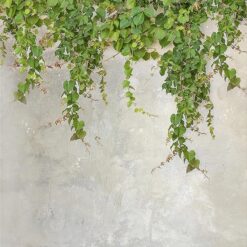 Sklenený panel 60/60 Cement Ivy-2 Esg Merkury Market www.69x.sk