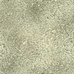 Sklenený panel 60/60 Golden Esg Merkury Market www.69x.sk