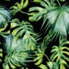 Sklenený panel 60/60 Jungle Black Esg Merkury Market www.69x.sk