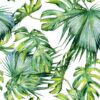 Sklenený panel 60/60 Jungle White Esg Merkury Market www.69x.sk