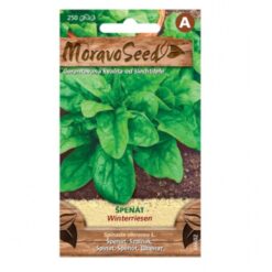 Špenát siaty Winterriesen Merkury Market www.69x.sk