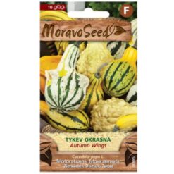 Tekvica okrasná Autumn Wings Merkury Market www.69x.sk