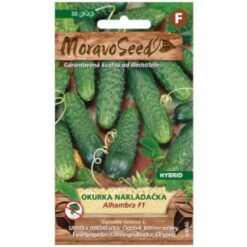 Uhorka nakladačka hruboostná Alhambra F1 - hybrid Merkury Market www.69x.sk