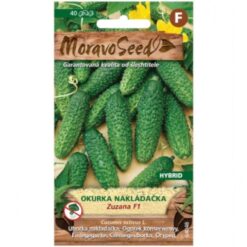 Uhorka nakladačka hruboostná Zuzana - hybrid Merkury Market www.69x.sk