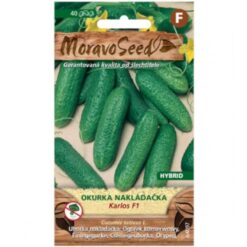 Uhorka nakladačka jemnoostná Korlos F1 - hybrid Merkury Market www.69x.sk