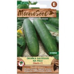 Uhorka šalátová Obelix F1 - hybrid, na pole Merkury Market www.69x.sk