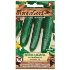 Uhorka šalátová Saladin F1- hybrid, do skleníka Merkury Market www.69x.sk