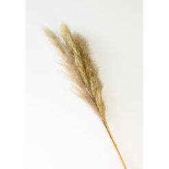 Umelá pampová tráva 115 cm Merkury Market www.69x.sk