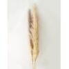 Umelá pampová tráva 150 cm Merkury Market www.69x.sk