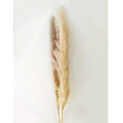 Umelá pampová tráva 150 cm Merkury Market www.69x.sk