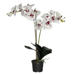 Umelá prémiová orchidea 18 kvetov 80 cm Merkury Market www.69x.sk